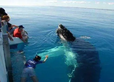 extraordinary tours, thrilling adventures
